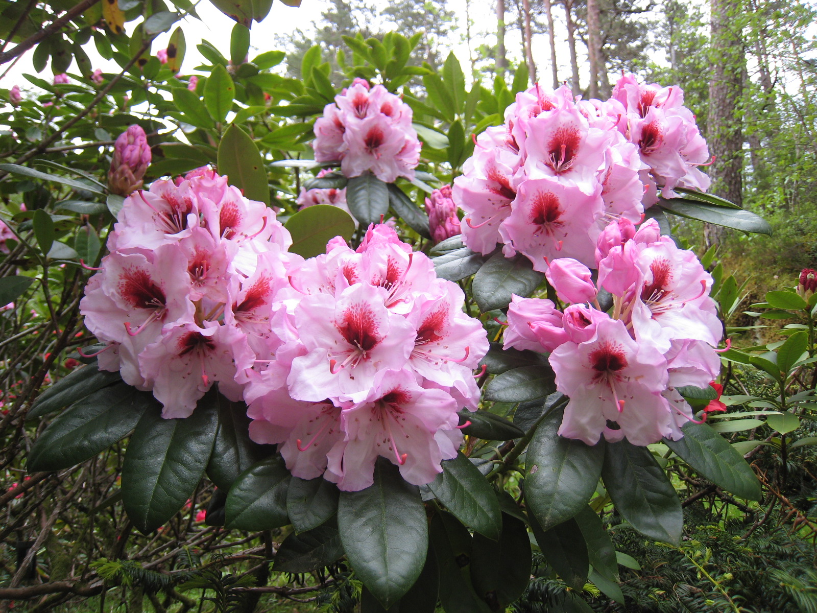 Artikkelbilde til artikkelen Fotokonkurransen