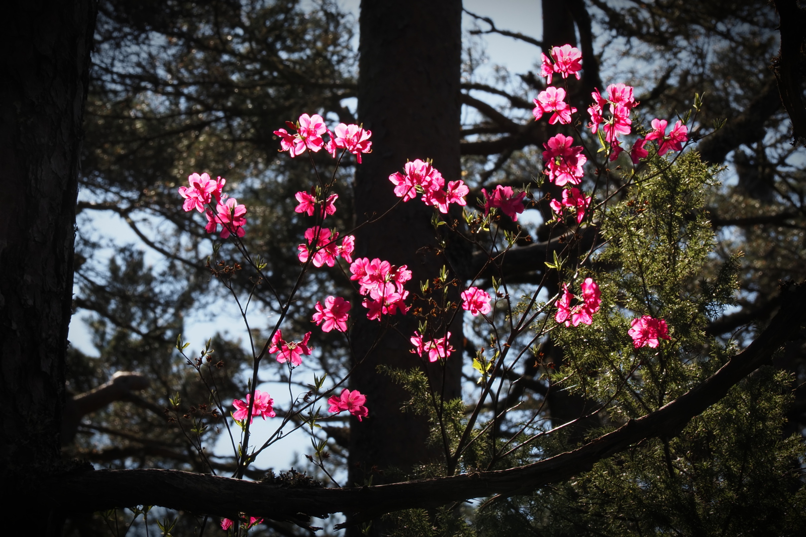 Resultat fra årets fotokonkurranse
